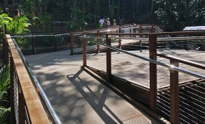 Currumbin Wildlife Sanctuary Lost Valley by Southern Stainless-Balustrade